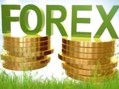 coins and forex 